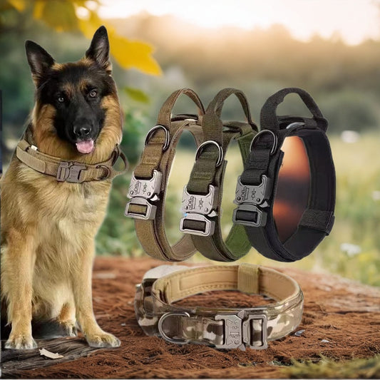 Adjustable Nylon Dog Collar